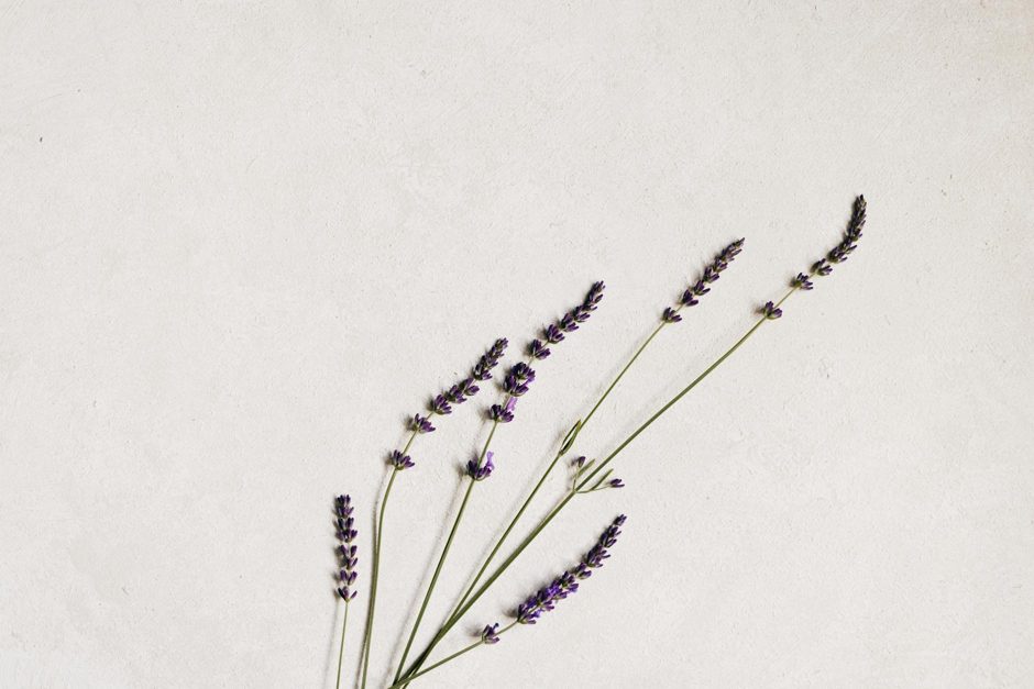 Natural herbal calming ingredients - lavender