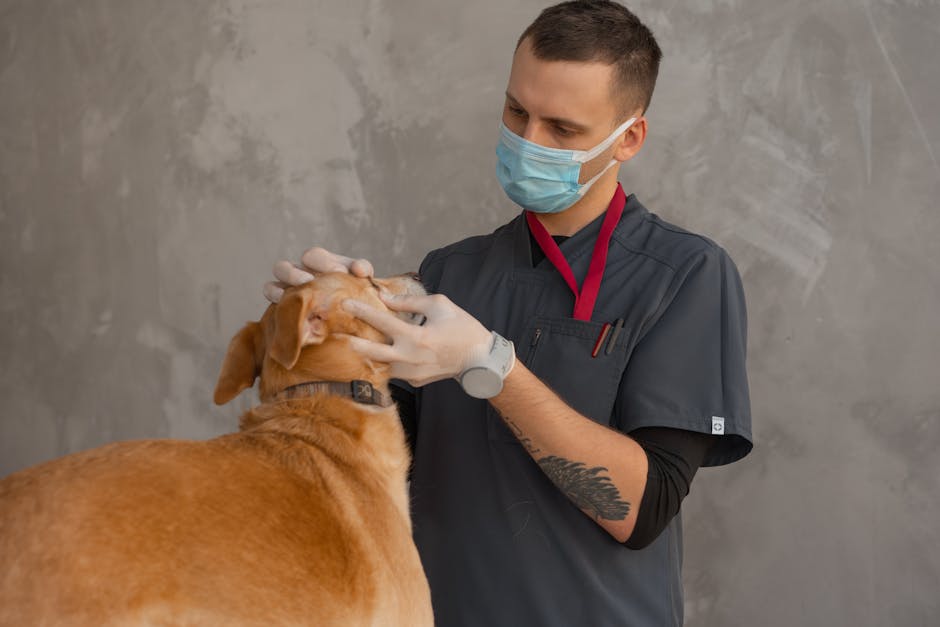 Contact PetSupplementGuide